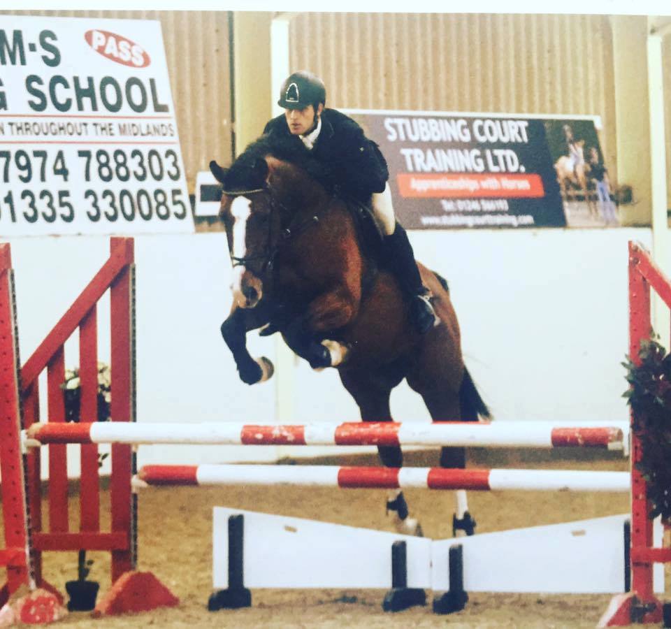Show Jumping Horses For Sale Near Me